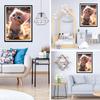 QQYRHN 5D Cute Cat Diamond Painting Kit view 4