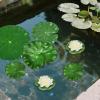 ACAREY Artificial Lotus Leaves view 4