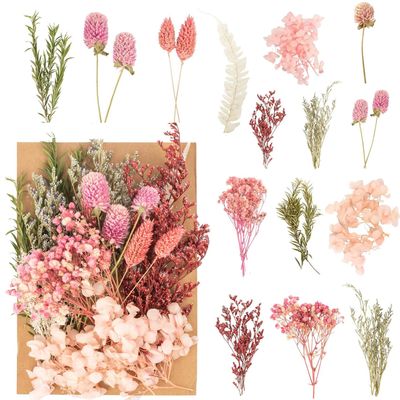 Dried Flowers, Natural Dried Flower Set for DIY Crafting