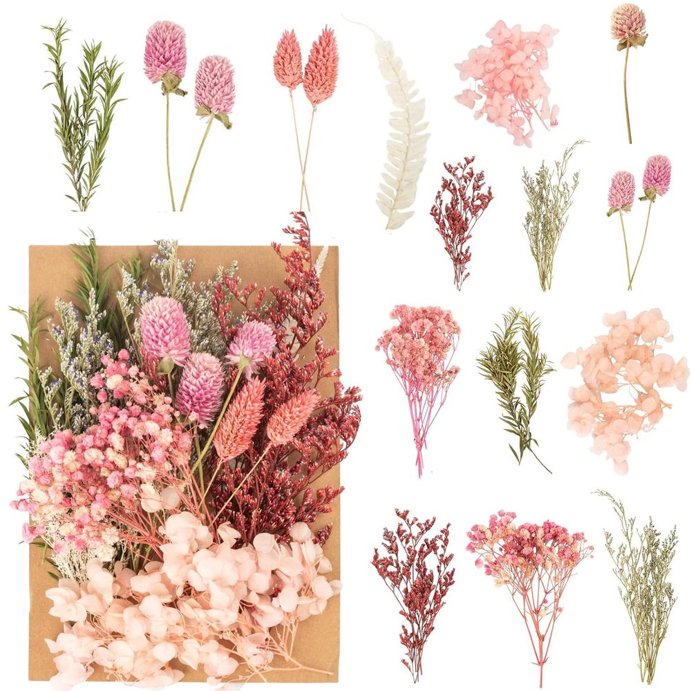 Dried Flowers, Natural Dried Flower Set for DIY Crafting