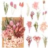 Dried Flowers, Natural Dried Flower Set for DIY Crafting view 1