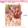 Dried Flowers, Natural Dried Flower Set for DIY Crafting view 2
