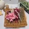 Dried Flowers, Natural Dried Flower Set for DIY Crafting view 3