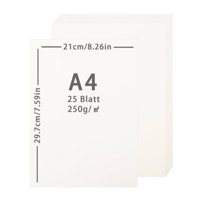 Lre Co. 25 Sheets Beige Cardstock