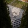Round Stainless Steel Planting Ring, Garden Bed and Grave Edging (600 mm) view 3