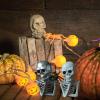 TSMORY Anatomical Skeleton Bust Statue Set, 2 Pieces, 18 cm view 2
