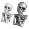 TSMORY Anatomical Skeleton Bust Statue Set, 2 Pieces, 18 cm view 4