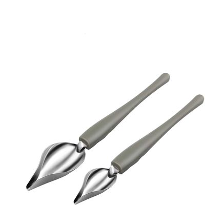 Decorating Spoons Set - Stainless Steel for Sauces (2 Pieces)