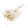 RASTKY Dried Flower Bouquet view 2