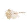 RASTKY Dried Flower Bouquet view 3