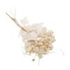 RASTKY Dried Flower Bouquet view 4