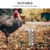 Stainless Steel and Rubber Poultry Plucker with Drill Attachment view 3