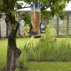 Wild Bird Feeders with Seed Silo - Tube Bird Feeder view 2