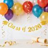 STOBAZA Glitter Garland Class of 2026 300cm for Graduation Party view 3