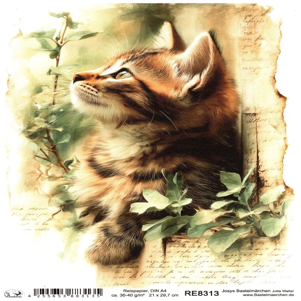 Josys Craft Fairy Rice Paper A4 Decoupage Collection Cats