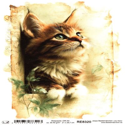 Josys Craft Fairy Rice Paper A4 Decoupage Collection - Cats