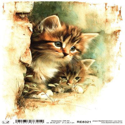 Josys Craft Fairy Rice Paper A4 Decoupage Collection - Cats