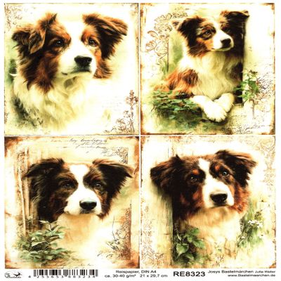 Josys Craft Fairy Rice Paper A4 Collection - Australian Shepherd