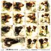 Josys Craft Fairy Rice Paper A4 Decoupage Collection - Dogs view 1