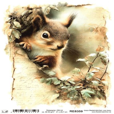 Josys Craft Fairy Rice Paper A4 Decoupage Collection - Squirrel RE8359