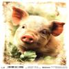 Josys Craft Fairy Rice Paper A4 Decoupage Collection - Piglet view 1