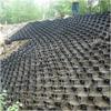Commercial Geo Grid Driveway Stabilization Grid, 2-Inch Gravel Ground Grid for Patios and Paths view 2