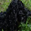Black Camouflage Net, 2.5 x 15 m view 2