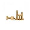 Brass Knurled Flat Round-Head Screws M3/M4/M5/M6 (10 pcs, M4 x 16) view 1