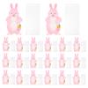 Gnrique Easter Bags - 20 Pack Bunny Party Bags view 1