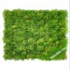 JELLE & JACOB Artificial Moss Plant Wall, Indoor & Outdoor, Greenwall Panels 100 x 100 cm, XXL Green Moss Wall Art, Low-Maintenance & Durable view 1