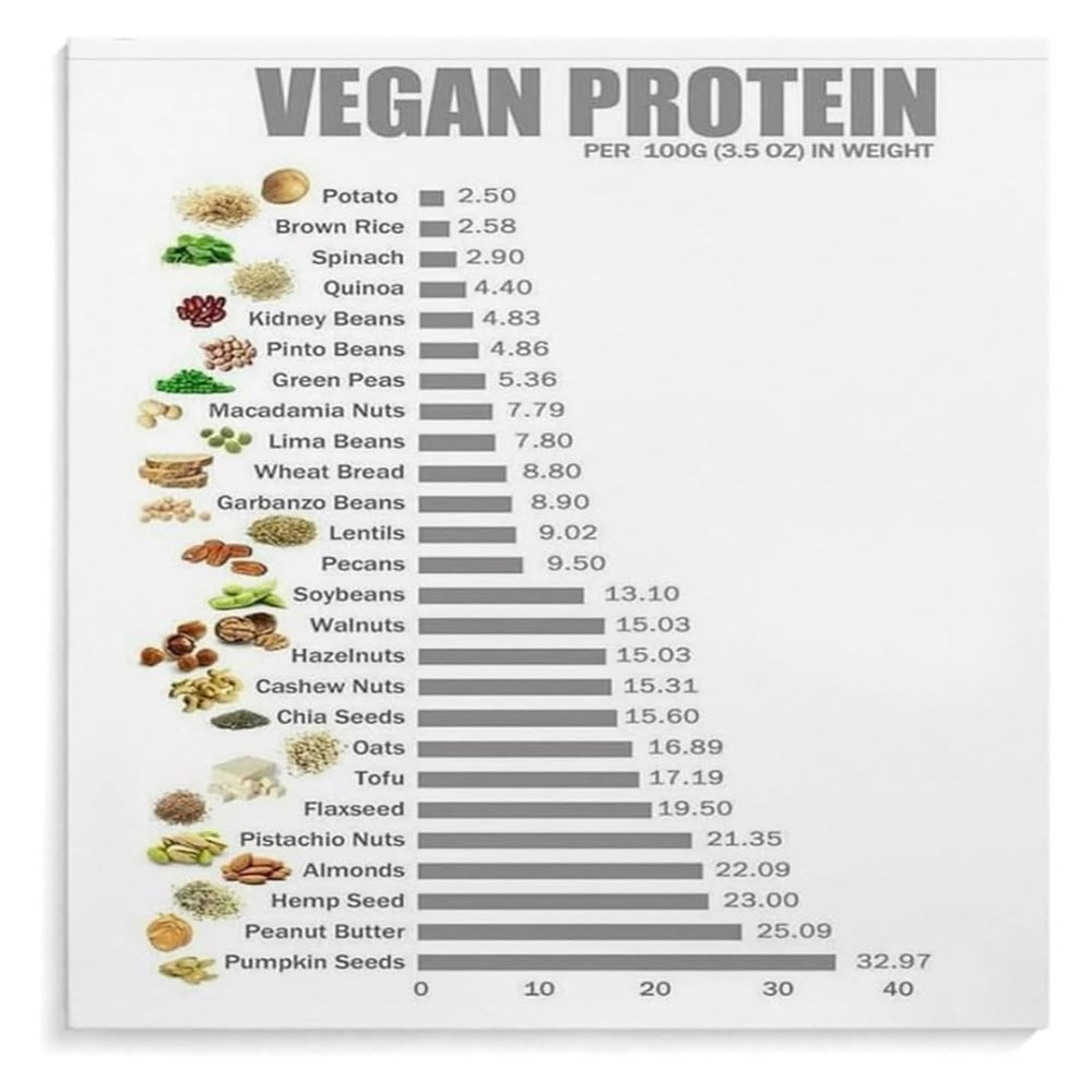 Protein on a Plant-Based Diet Chart Poster – Vegan & Vegetarian Protein Food Guide, Framed, 8 x 12 in (20 x 30 cm)