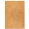 Glitter Cardstock, 200 g/m², One-Sided Glitter, 1 Sheet A4 (Light Gold) view 1