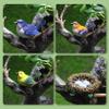 Odoukey 4-Piece Resin Bird Set view 3