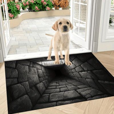 boiszeda Bottomless Abyss 3D Optical Illusion Doormat