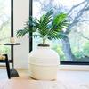 Good Pet Stuff Hidden Cat Litter Box Planter, Round Indoor Design, Charcoal Filter, Base Set, Palm Plant, Classic White view 2