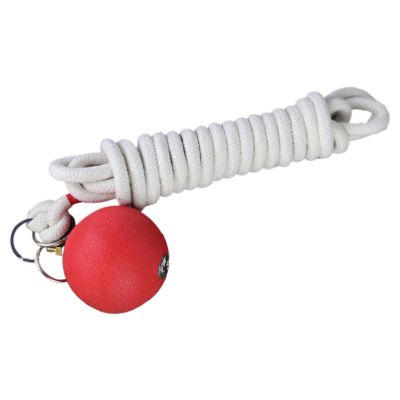 Martial Martial 350 cm Rope Dart Trainer, Weighted Training Equipment | Traditional Chinese Fitness Equipment for Martial Arts Skills