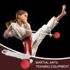 Martial Martial 350 cm Rope Dart Trainer, Weighted Training Equipment | Traditional Chinese Fitness Equipment for Martial Arts Skills view 2