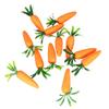 Grtheenumb Easter Pennant Decorations | 12 pcs Hanging Carrot Decor view 2