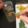 Transparent DIY Bookmarks with Dried Flowers - 20-Piece Set view 3