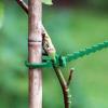 Plant Ties for Outdoor Plants, Adjustable Twist Ties, 50-Pack view 2