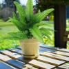 Artificial Boston Fern Plant view 3
