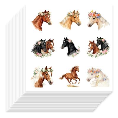 TNKBREEZE 450 Pieces Horse Stickers