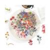 HMCEY 100 Pcs Flower Scrapbooking Stickers view 1