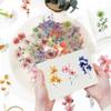 HMCEY 100 Pcs Flower Scrapbooking Stickers view 4