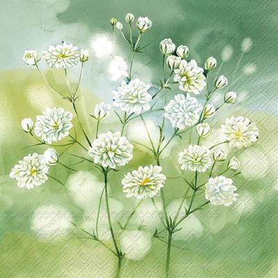 Little Beauties Napkins - 20 pcs