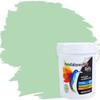 RyFo Colors Wall Paint Manufakturweiß Pastel Green 3 L – More Gray Shades and Sizes Available, Hiding Power Class 1, Wet Scrub Resistance Class 1 view 1