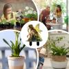 Generic Boho-Style Fairy Figurine Stakes for Flower Pots view 3