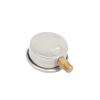 XZXXZSZ Glycerin-Filled Shock-Resistant Stainless Steel Oil Pressure Gauge (0–0.6) view 2