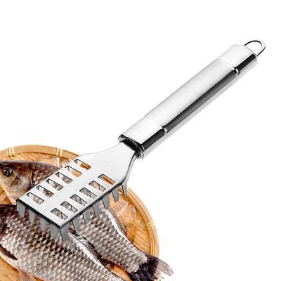 Elegant Multiuse Fish Scaler Tool