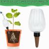 4-Pack 350 mL Automatic Plant Watering Globes view 3